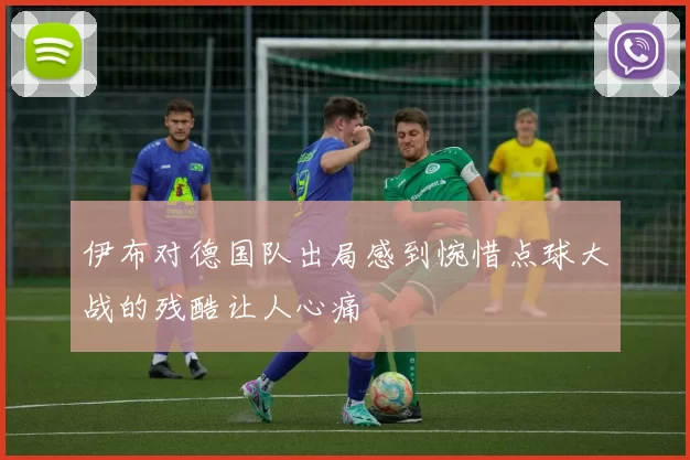 伊布对德国队出局感到惋惜点球大战的残酷让人心痛